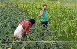 Fishery In Howrah- Aarannyak Eco Resort And Organic Farming, Howrah